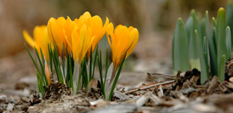 Enjoy Springtime at the Monmouth County Park System Enjoy Springtime at the Monmouth County Park System