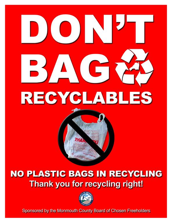 Don't Bag Recyclables Flyer