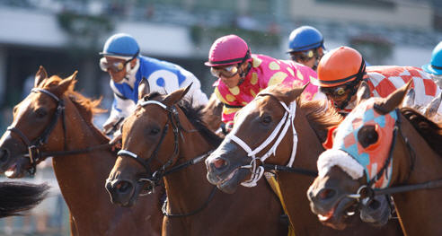 Horse racing at Monmouth Park 