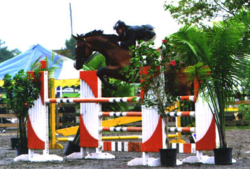 A show horse makes a jump at the 114th Monmouth County Horse Show